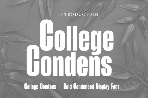 College Condens: A Bold Display Font That Elevates Real Small Business Branding